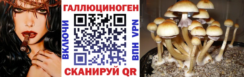 где можно купить наркотик  omg как зайти  Псилоцибиновые грибы мухоморы  Азнакаево 